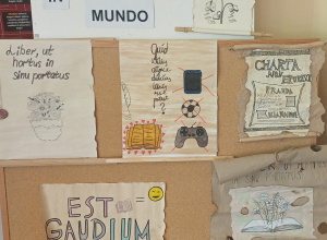 Projekt In librorum mundo